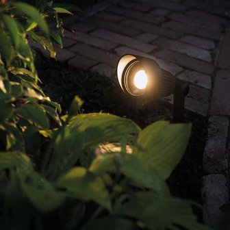 Focus Spot - 3 Watt - Garden Lights