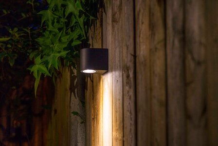 Gilvus Wandspot - 4 Watt - Antraciet - Garden Lights