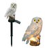 Solar LED uiltje - Neutraal wit - Met schemersensor en prikpen